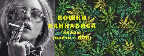 крисы Каменногорск