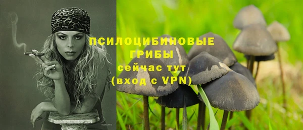 крисы Каменногорск