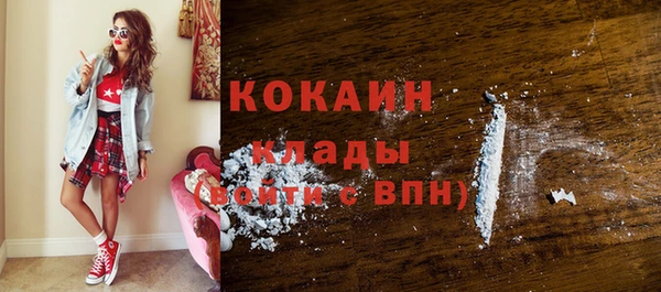 крисы Каменногорск
