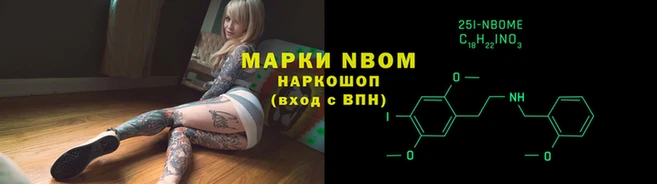 крисы Каменногорск