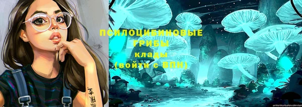 мдпв Каменск-Шахтинский