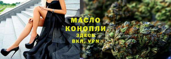 крисы Каменногорск