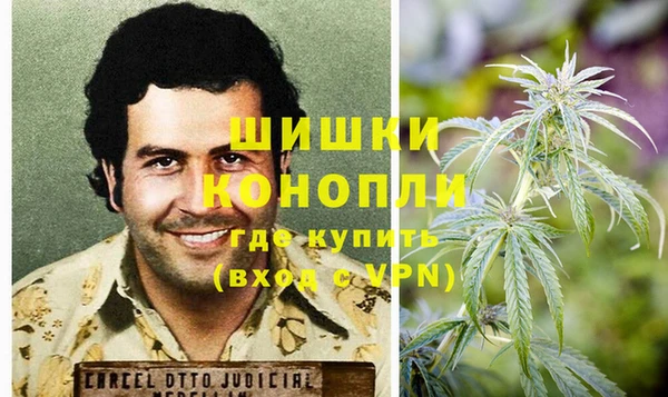 крисы Каменногорск