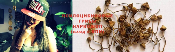 мдпв Каменск-Шахтинский