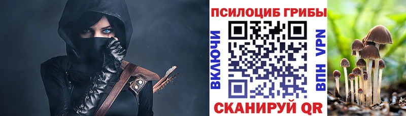 Купить где  Каневская  Псилоцибиновые грибы Psilocybine cubensis 